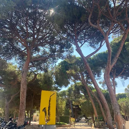 3p Au Coeur De Juan Les Pins