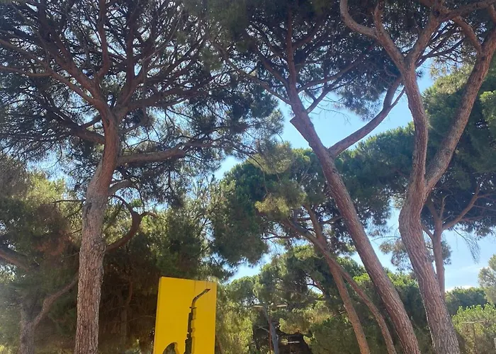 3p Au Coeur De Juan Les Pins